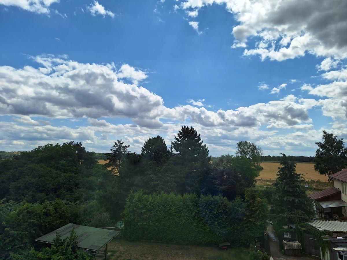 Gaststaette Und Pension Zur Schiene Merseburg Luaran gambar