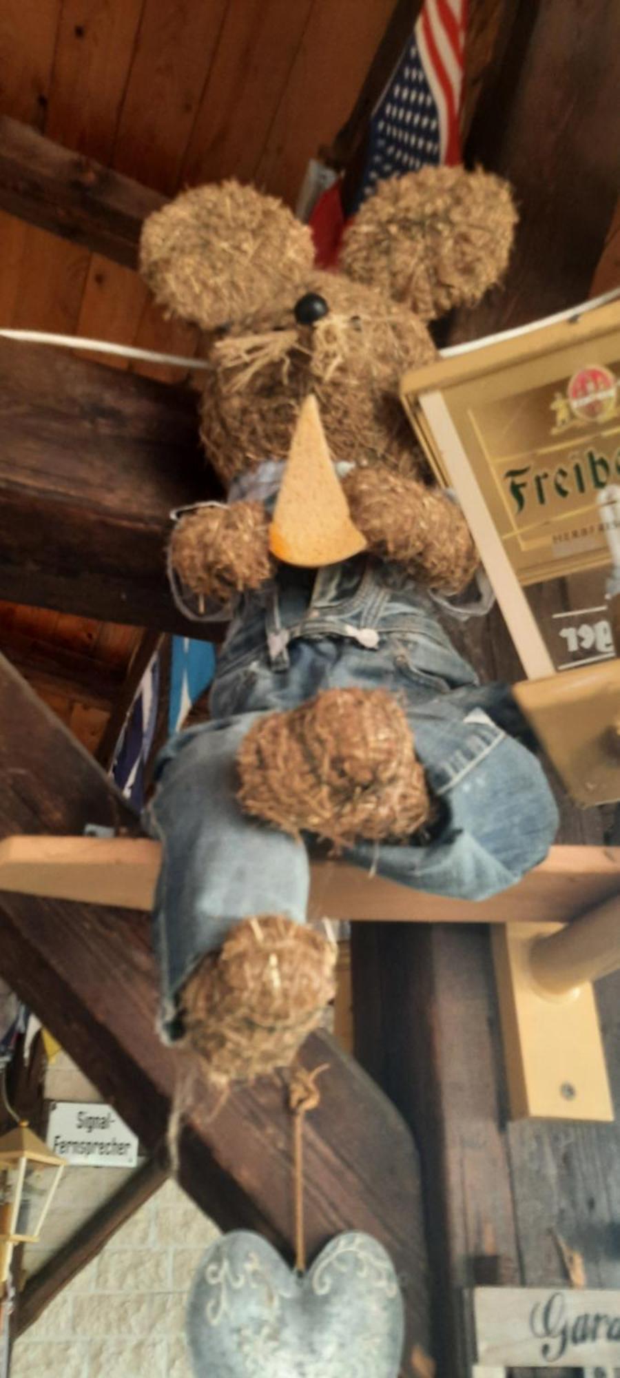 Gaststaette Und Pension Zur Schiene Merseburg Luaran gambar