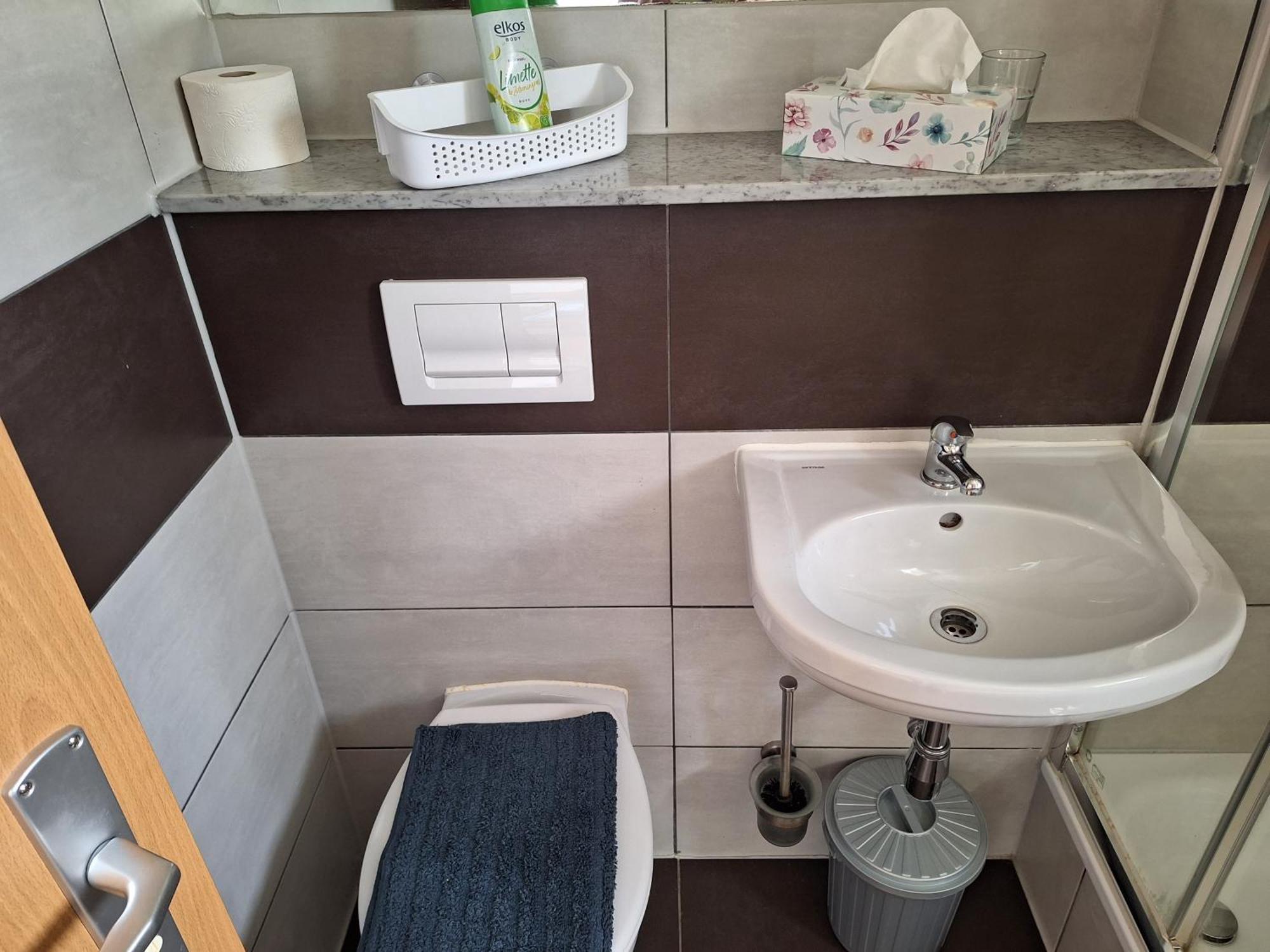 Gaststaette Und Pension Zur Schiene Merseburg Luaran gambar